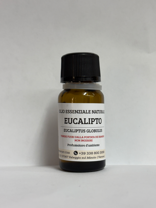 EUCALYPTUS – Eucalyptus Essential Oil